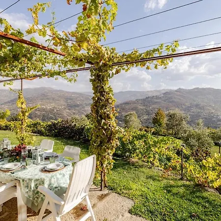 بيت للعطل Charming Vineyard Retreat - Casa De Sequeiros