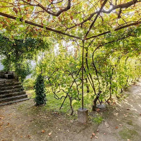 بيت للعطل Charming Vineyard Retreat - Casa De Sequeiros Ancede