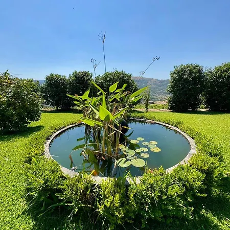 Charming Vineyard Retreat - Casa De Sequeiros